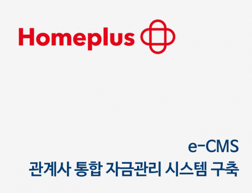홈플러스, 홈플러스홀딩스